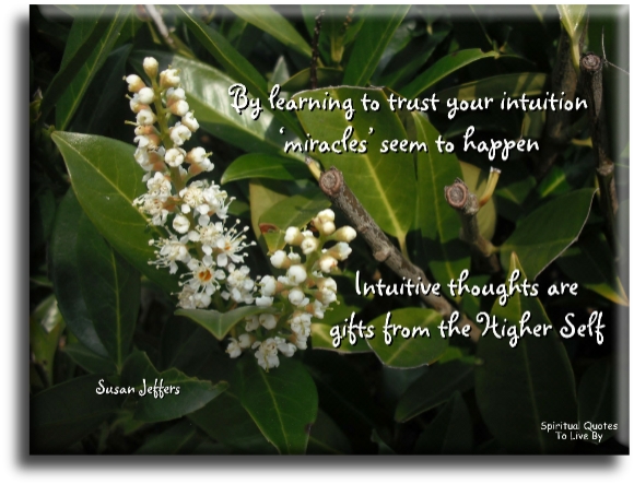 Susan Jeffers quote - By learning to trust your intuition, miracles seem to happen. Intuitive thoughts are gifts from the higher self. - Spiritual Quotes To Live By
