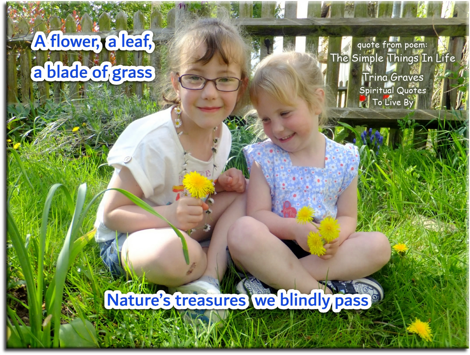 Trina Graves quote - A flower, a leaf, a blade of grass Nature’s treasures we blindly pass - Spiritual Quotes To Live By