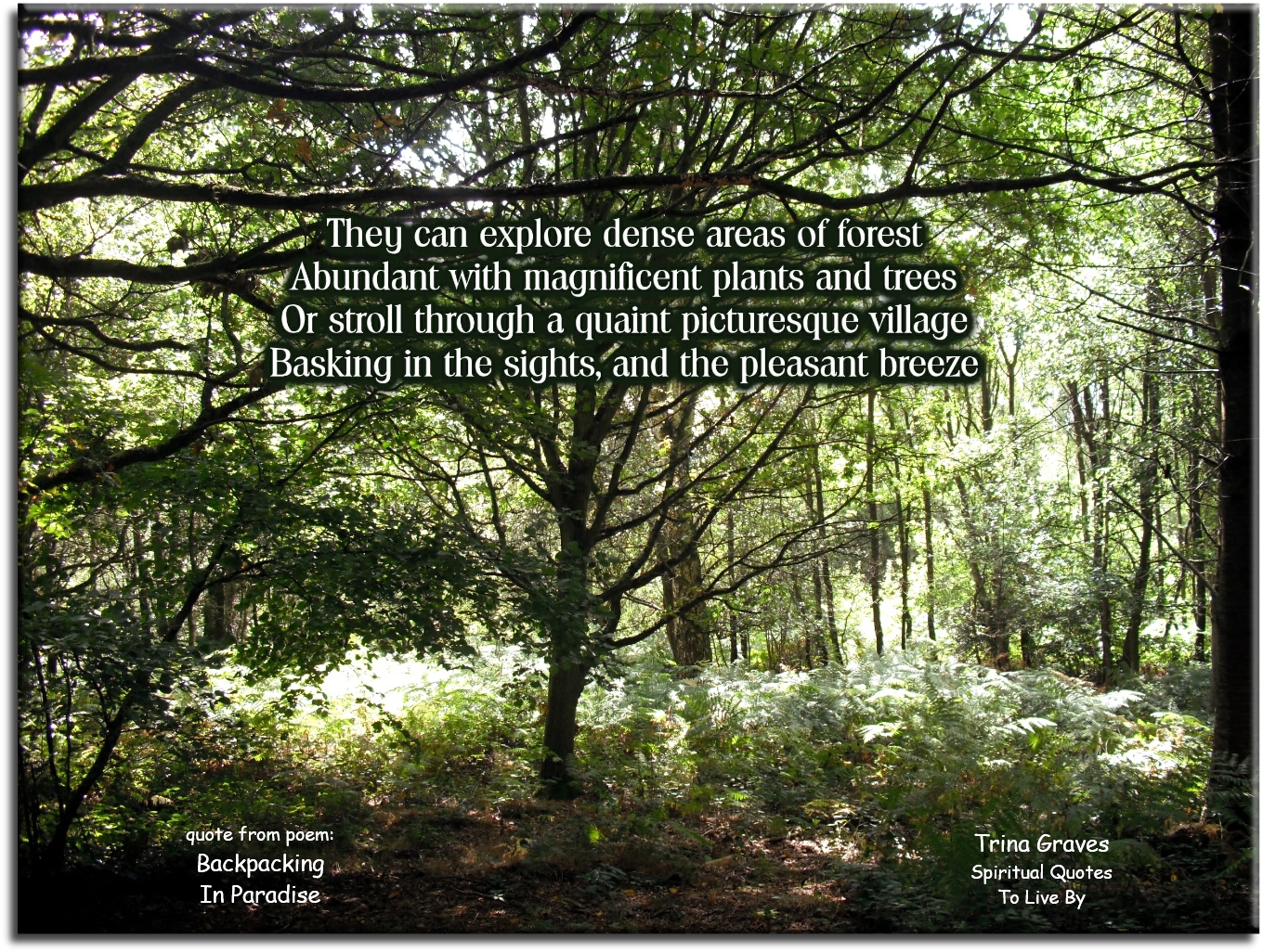 Trina Graves quote - They can explore dense areas of forest Abundant with magnificent plants and trees Or stroll through a quaint picturesque village Basking in the sights, and the pleasant breeze - Spiritual Quotes To Live By