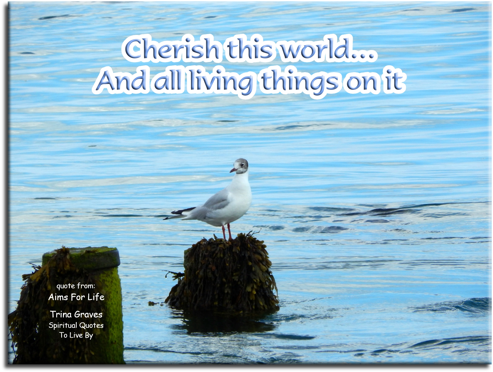 Trina Graves quote - Cherish this world… And all living things on it. - Spiritual Quotes To Live By