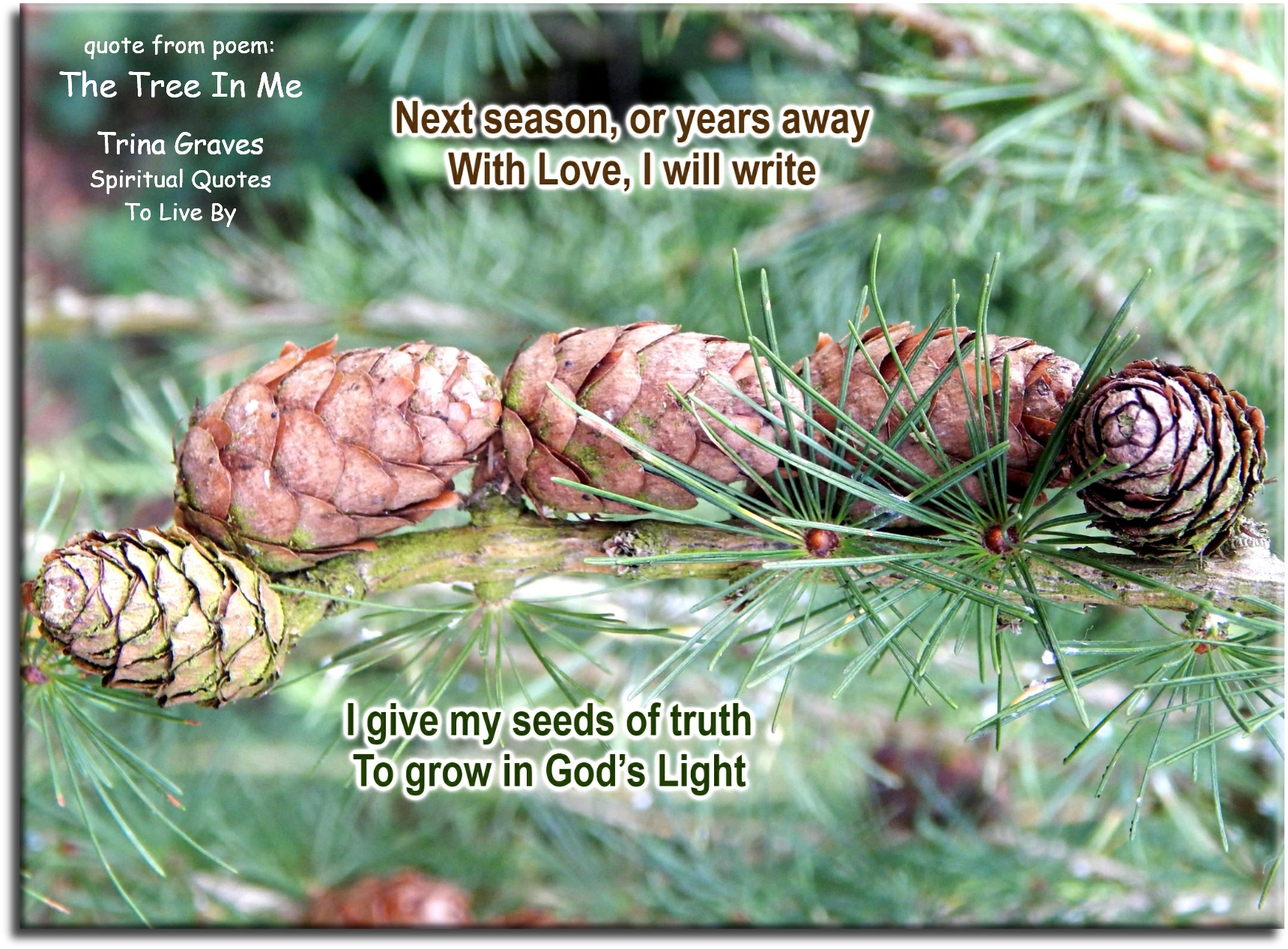 Trina Graves quote - Next season, or years away, With love, I will write, I give my seeds of truth to grow in God's Light - Spiritual Quotes To Live By