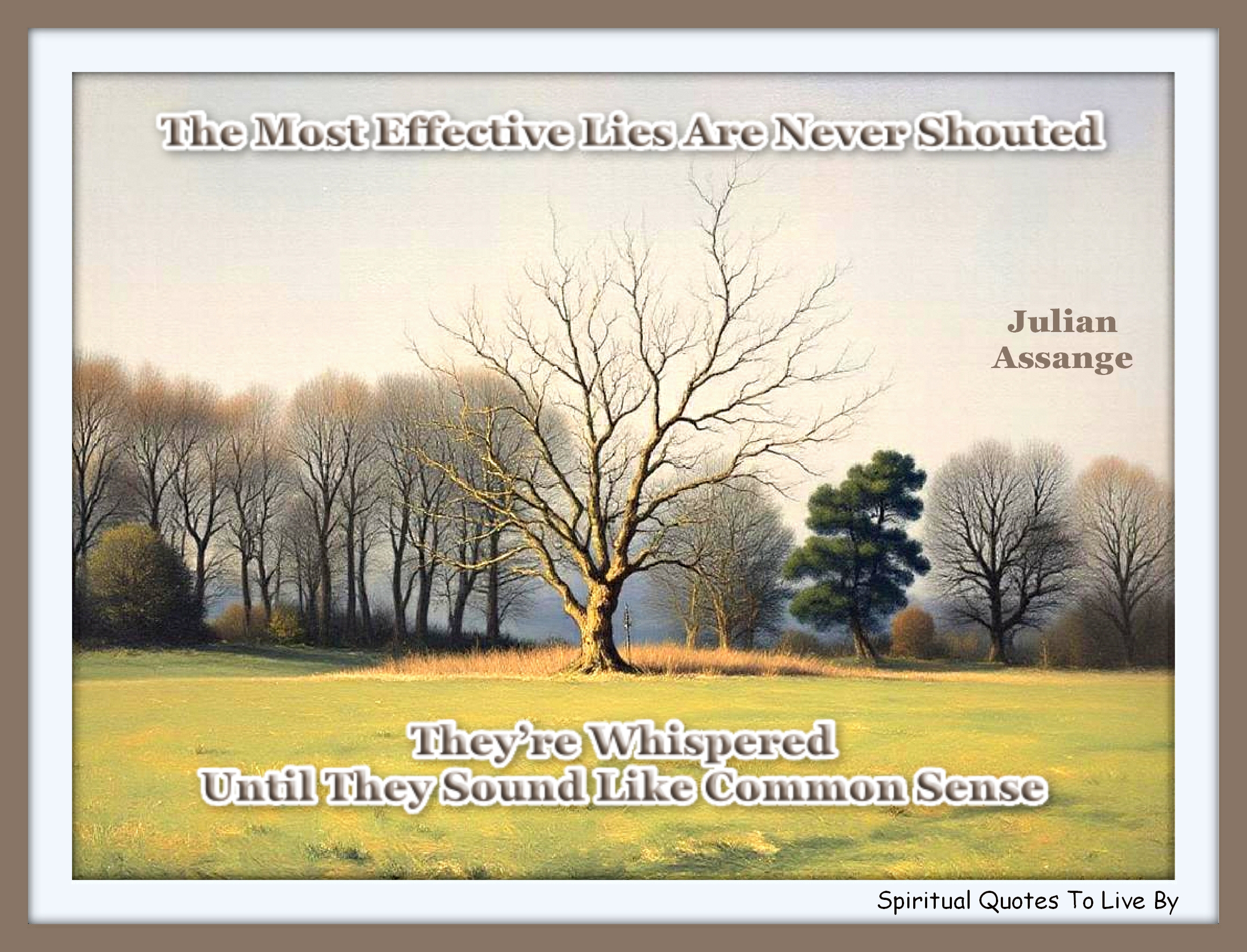 Julian Assange quote - The most effective lies are never shouted. They’re whispered until they sound like common sense. - Spiritual Quotes To Live By