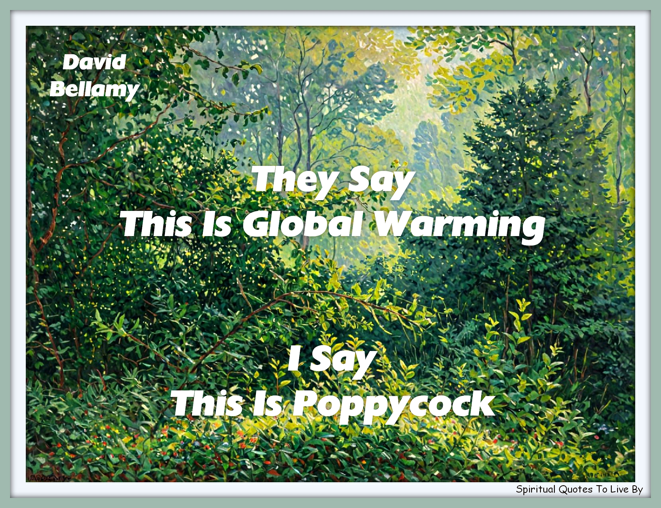 David Bellamy quote - They say this is global warming, I say this is poppycock. - Spiritual Quotes To Live By