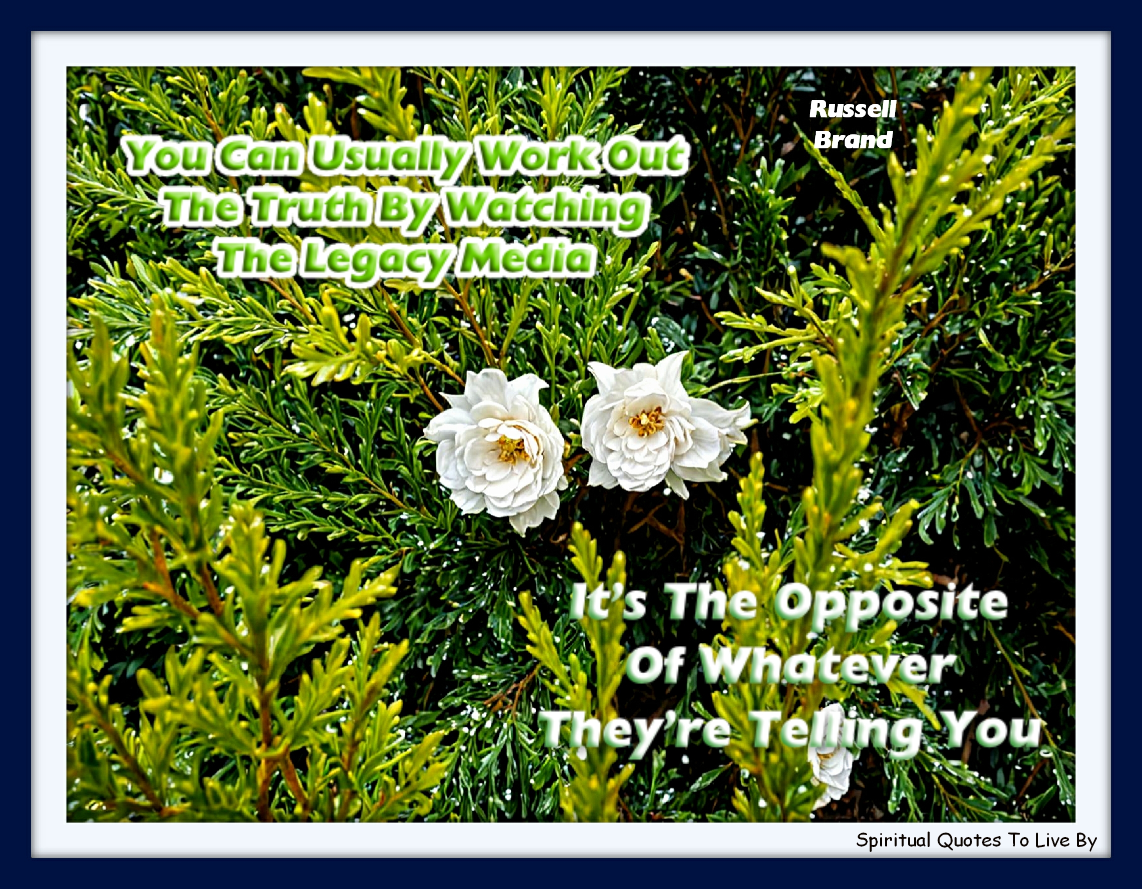 Russell Brand quote - You can usually work out the truth by watching the legacy media – it’s the opposite of whatever they’re telling you. - Spiritual Quotes To Live By