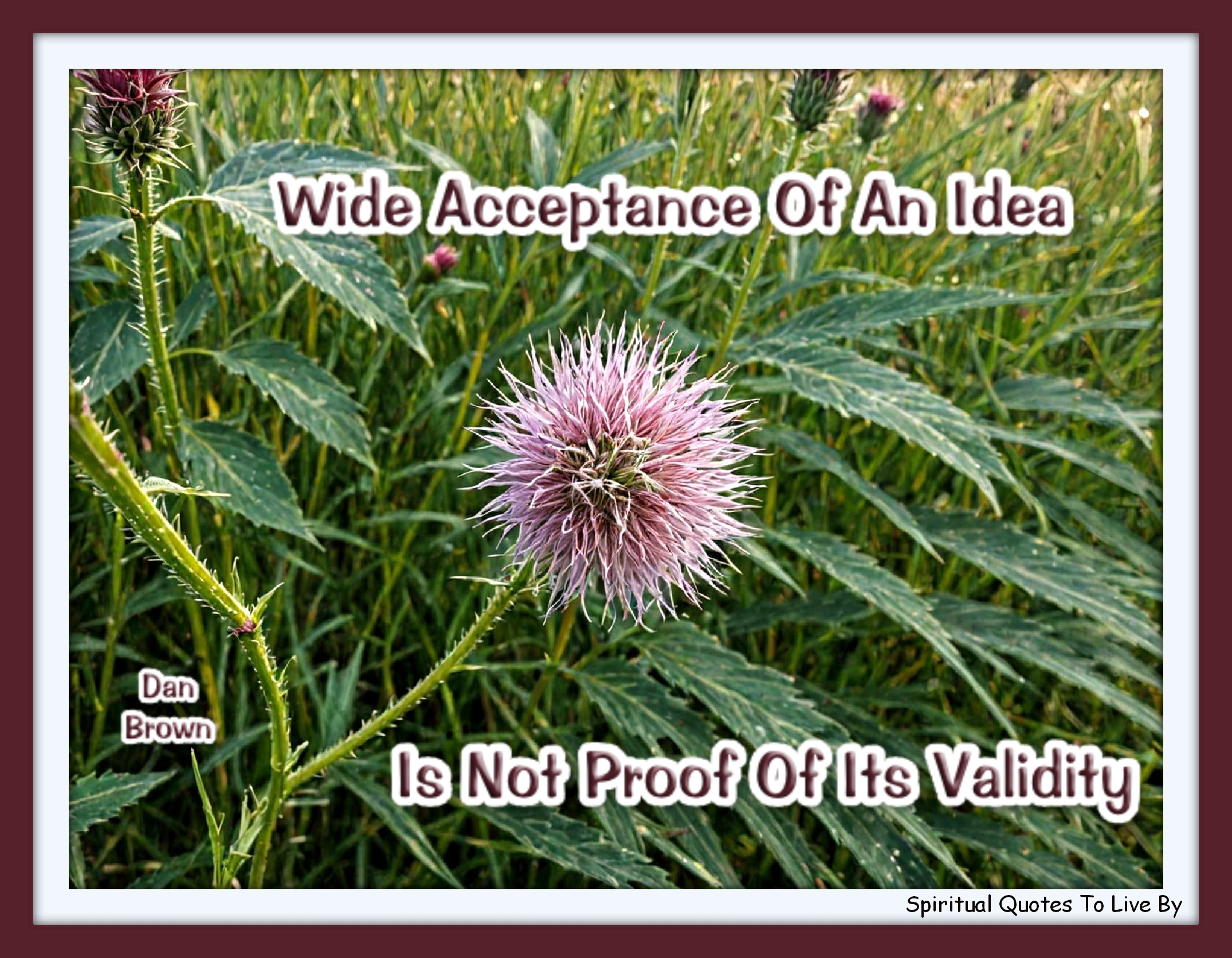 Dan Brown quote - Wide acceptance of an idea is not proof of its validity. - Spiritual Quotes To Live By