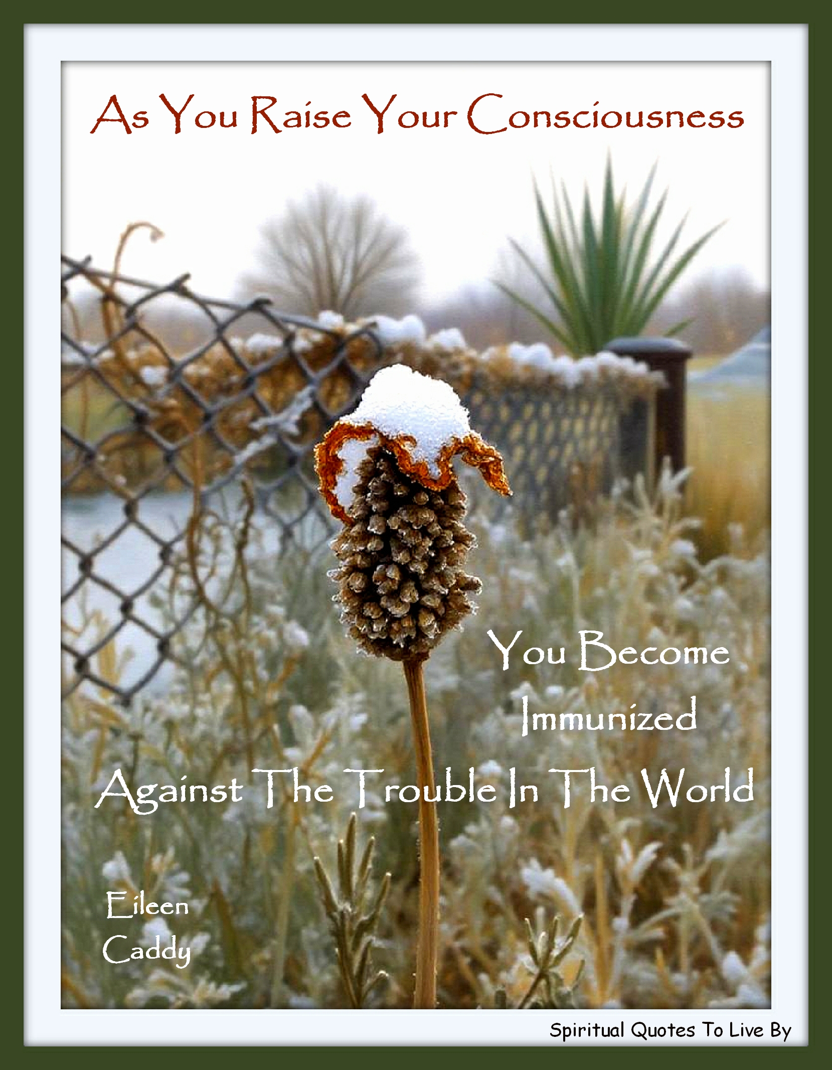 Eileen Caddy quote - As you raise your consciousness, you become immunized against the trouble in the world - Spiritual Quotes To Live By