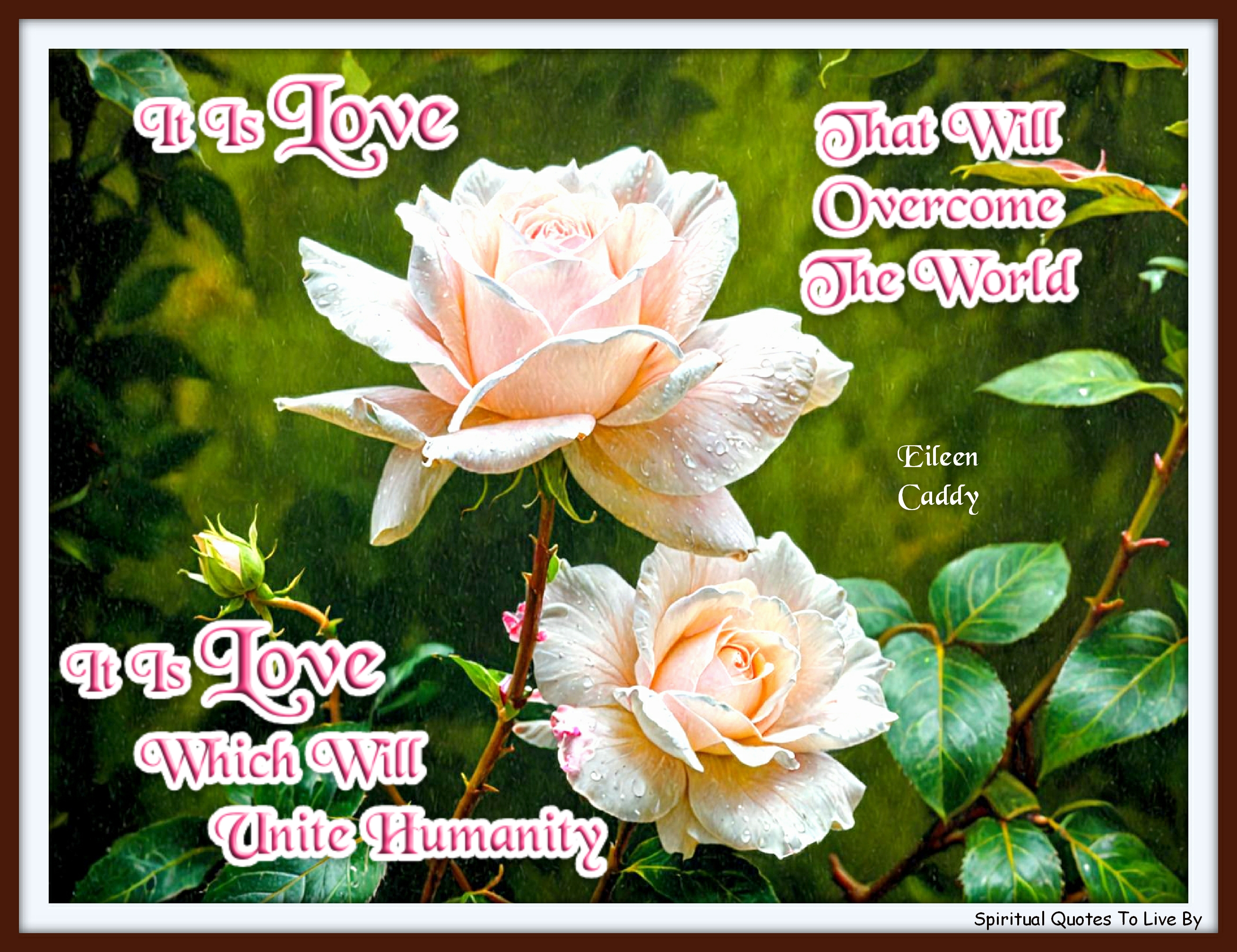 Eileen Caddy quote - It is love that will overcome the world; it is love which will unite humanity. - Spiritual Quotes To Live By