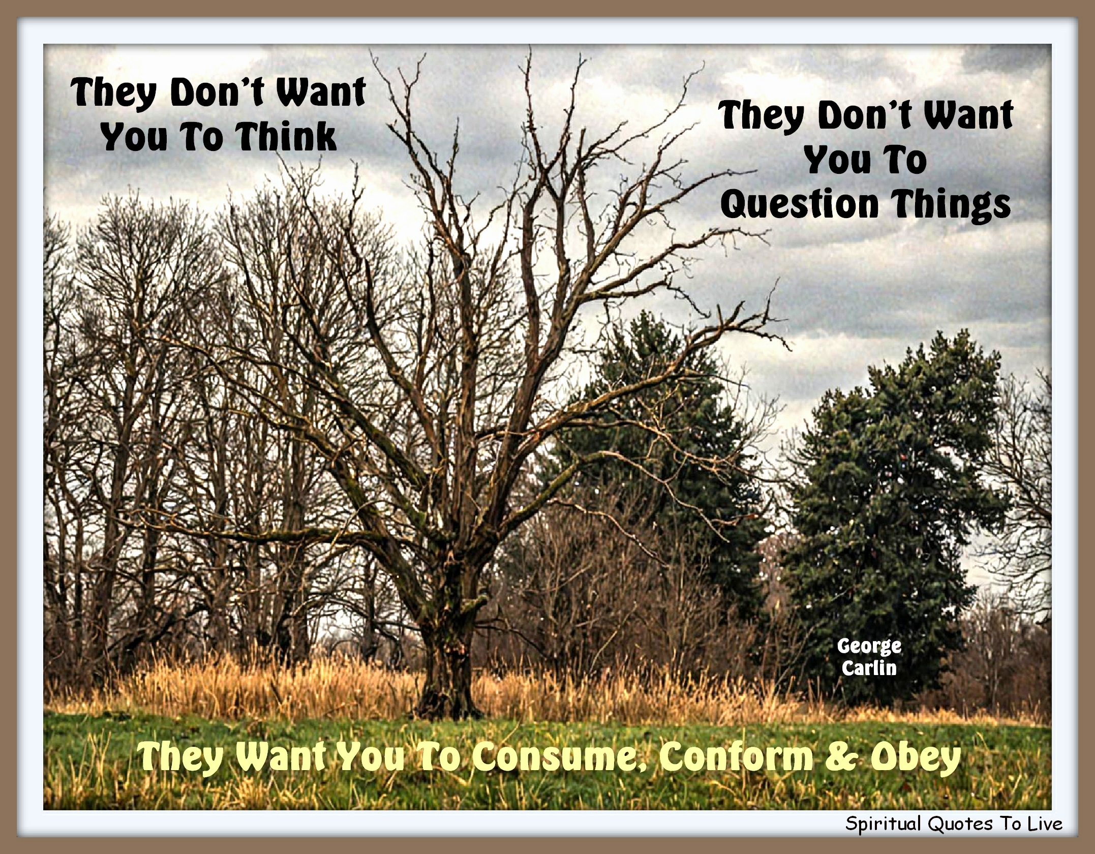 George Carlin quote - They don’t want you to think. They don’t want you to question things. They want you to consume, conform and obey. - Spiritual Quotes To Live By
