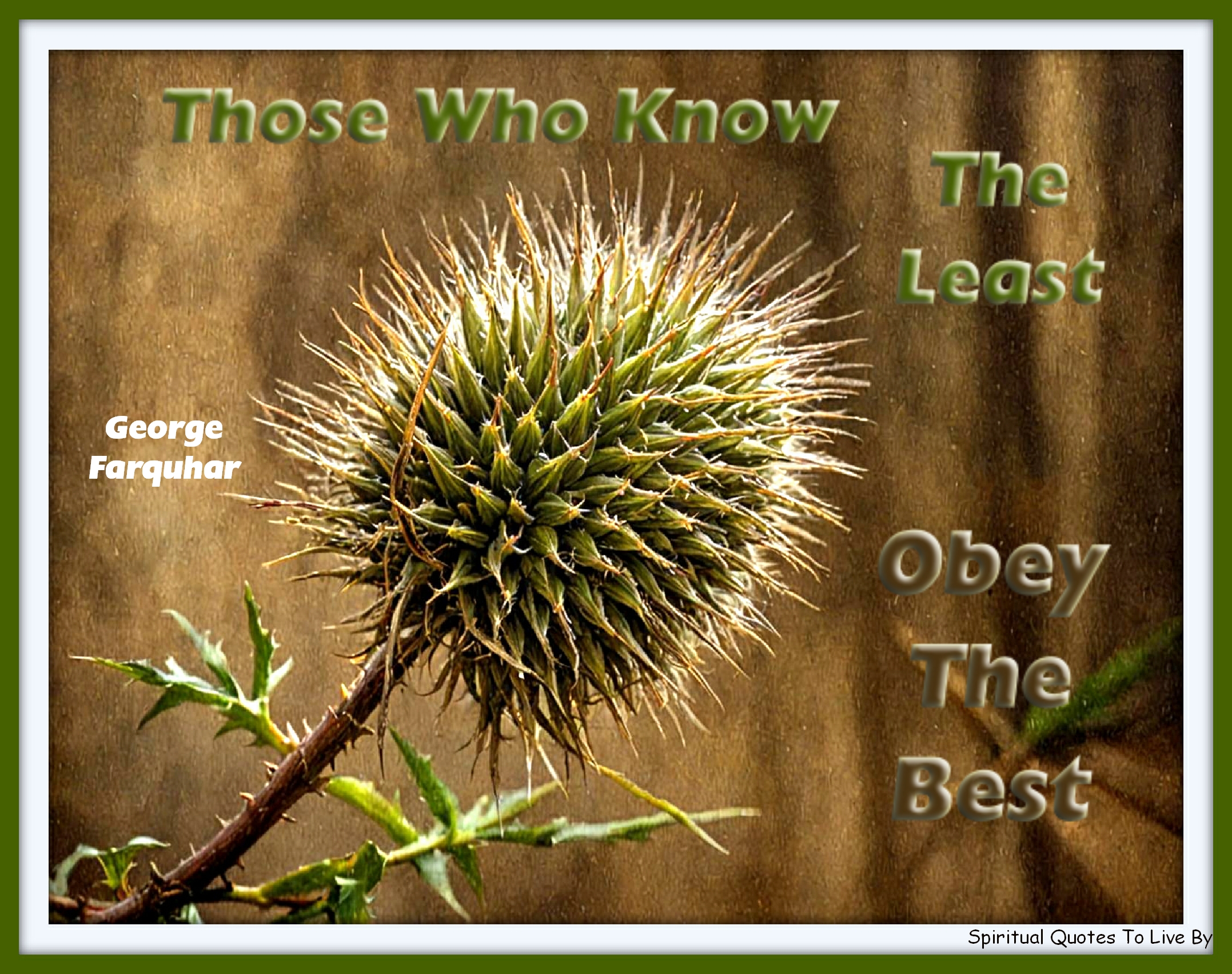 George Farquhar quote - Those who know the least, obey the best. - Spiritual Quotes To Live By