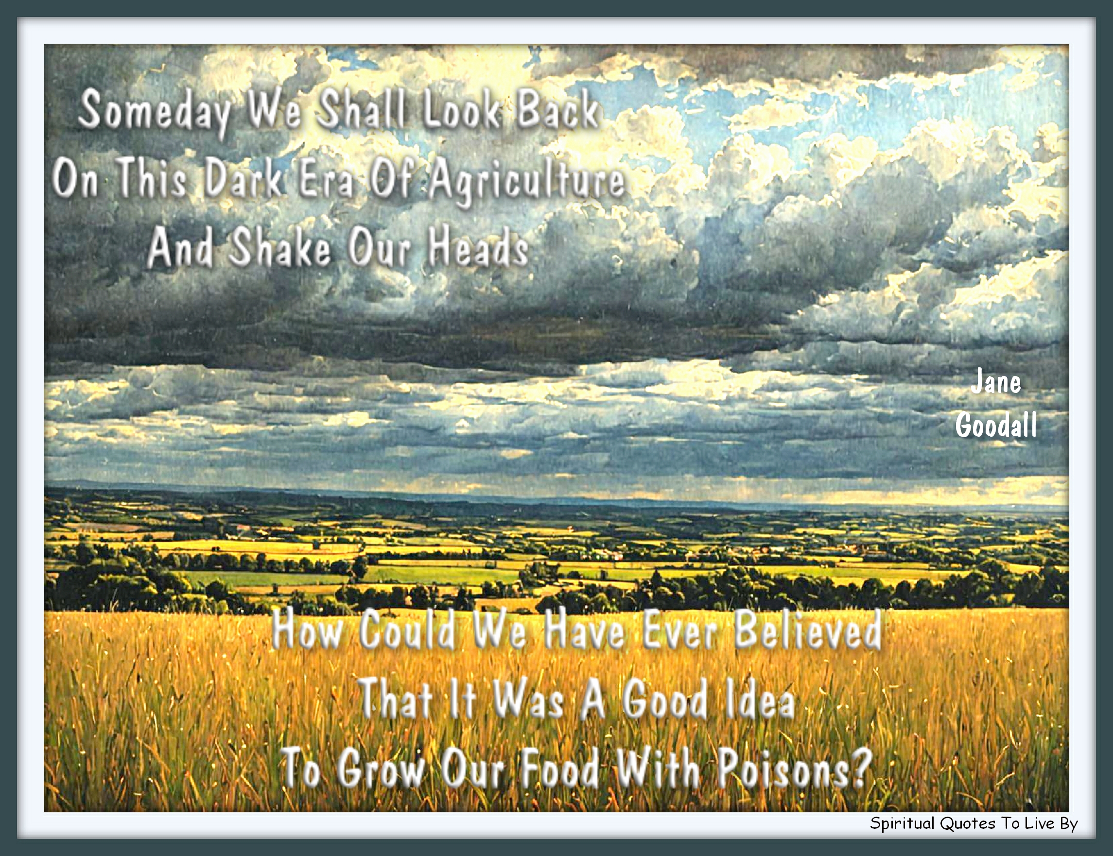 Jane Goodall quote - Someday we shall look back on this dark era of agriculture and shake our heads. How could we have ever believed that it was a good idea to grow our food with poisons? - Spiritual Quotes To Live By
