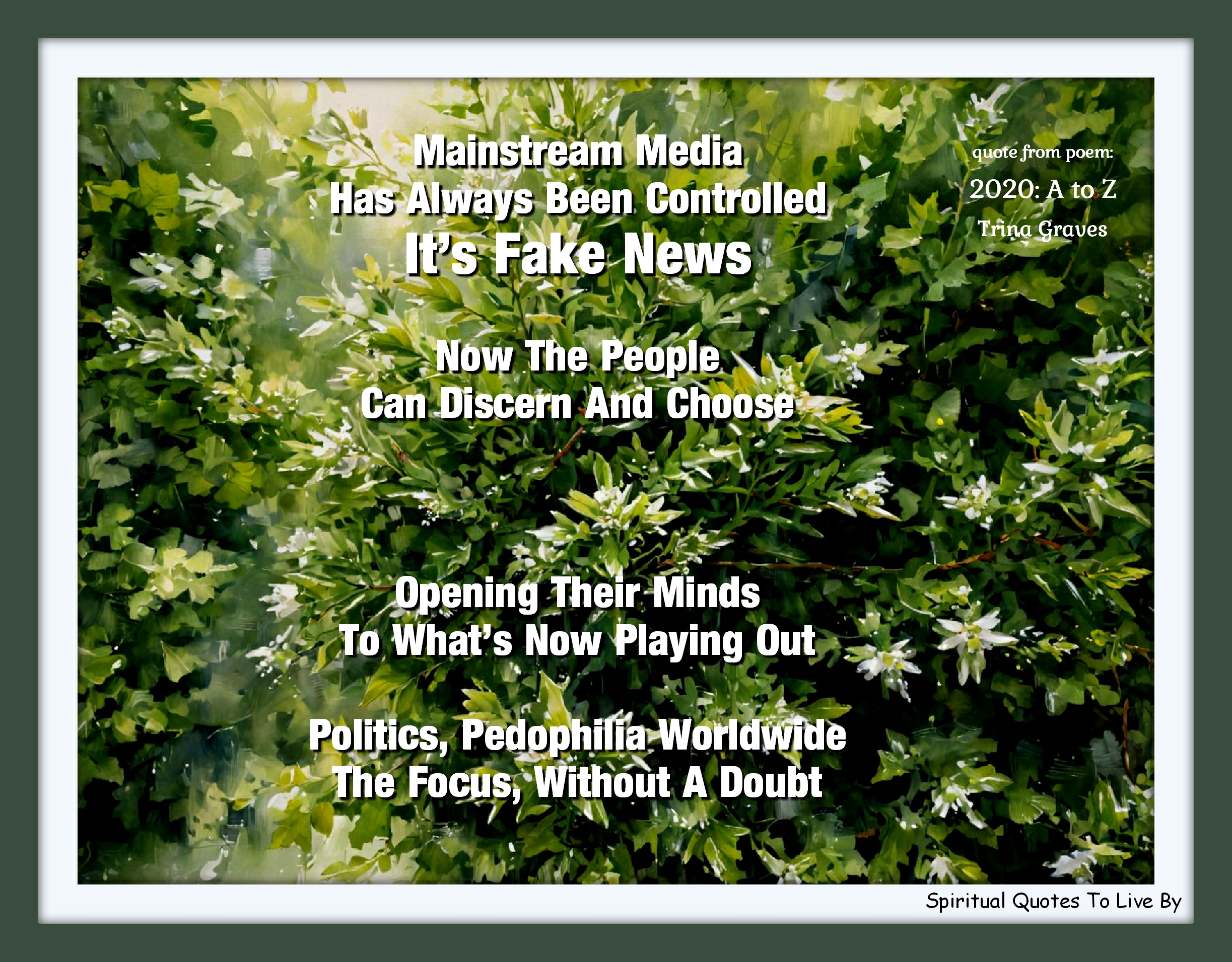 Trina Graves quote - Mainstream media has always been controlled - It's fake news Now the people can discern and choose  Opening their minds to what's playing out Politics, pedophilia worldwide the focus, without a doubt - Spiritual Quotes To Live By