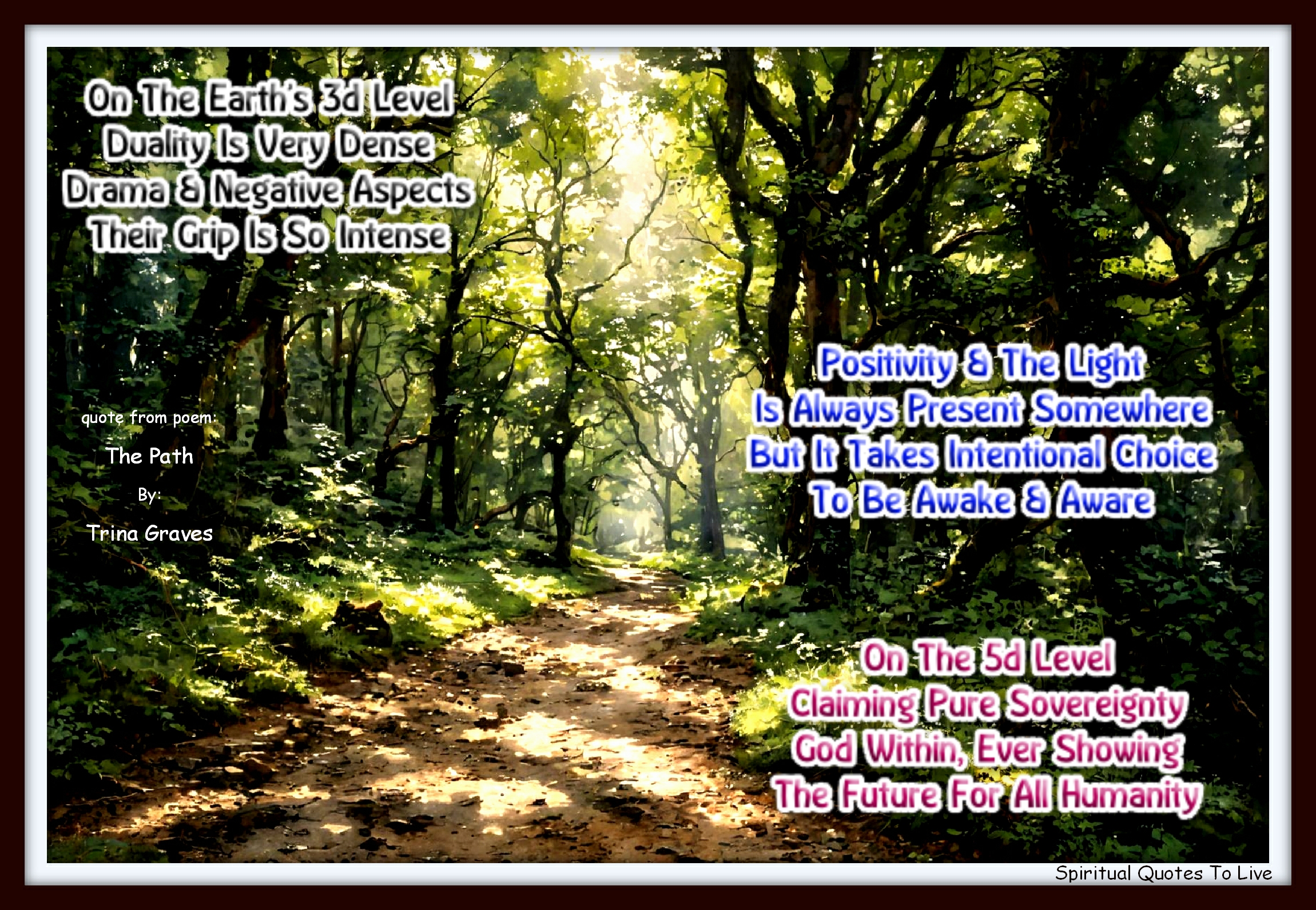 Trina Graves quote - On The Earth’s 3d Level Duality Is Very Dense Drama And Negative Aspects Their Grip Is So Intense  Positivity And The Light Is Always Present Somewhere But It Takes Intentional Choice To Be Awake And Aware  On The 5d Level Claiming Pure Sovereignty God Within, Ever Showing The Future For All Humanity - Spiritual Quotes To Live By