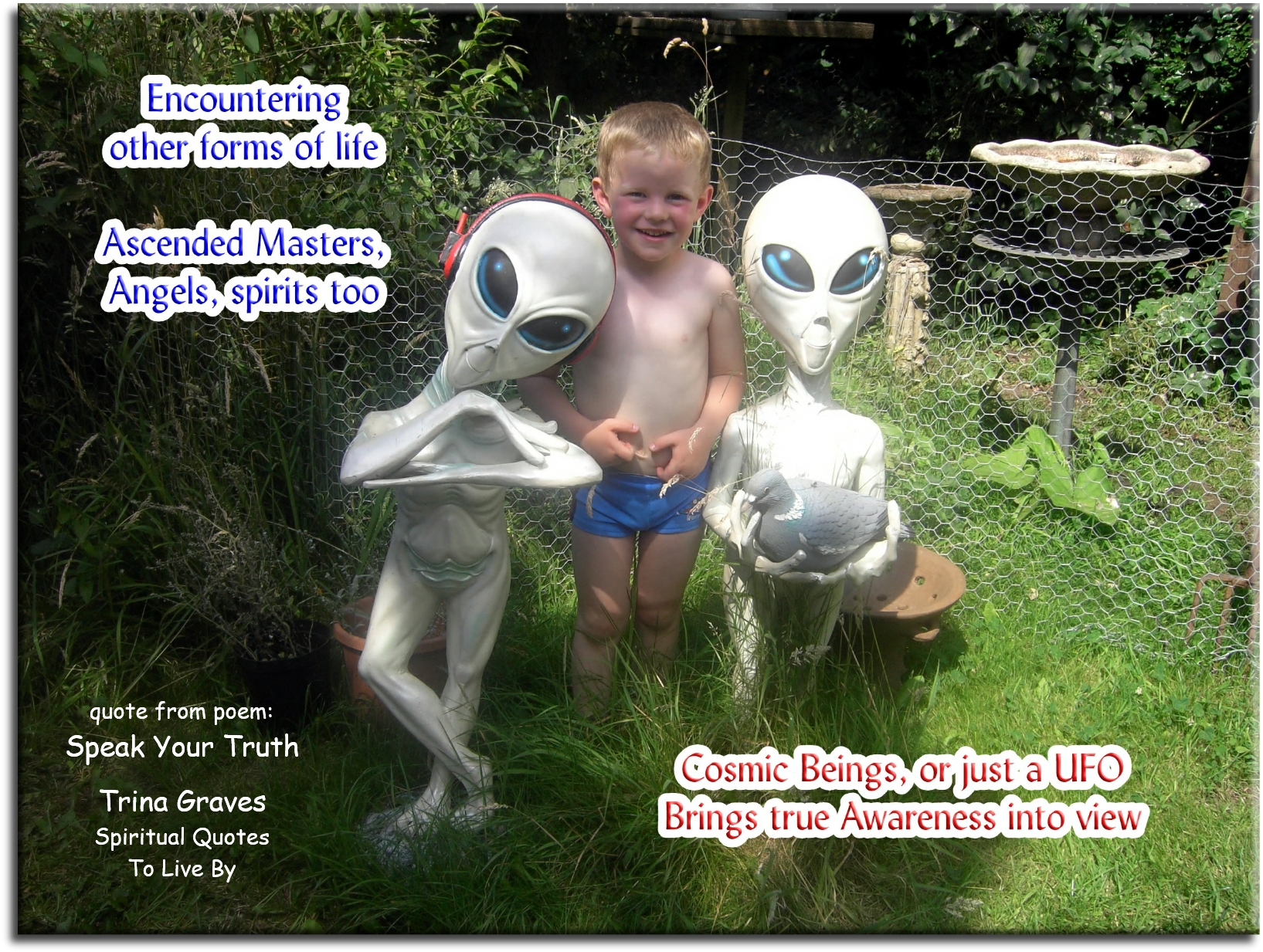 Trina Graves quote - Encountering other forms of life Ascended Masters, Angels, Spirits too Cosmic Beings, or just a UFO Brings true Awareness into view - Spiritual Quotes To Live By