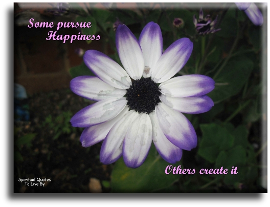 Some pursue happiness… Others create it. - Spiritual Quotes To Live By