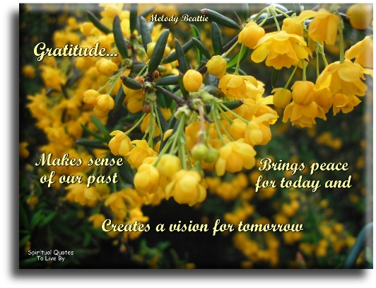 Melody Beattie quote - Gratitude makes sense of our past, brings peace for today and creates a vision for tomorrow. - Spiritual Quotes To Live By