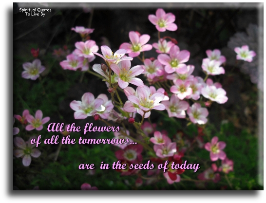 All the flowers of all the tomorrows are in the seeds of today - Spiritual Quotes To Live By