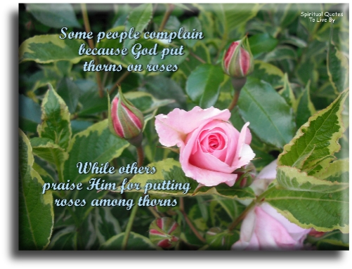 Some people complain because God put thorns on roses, while other praise Him for putting roses among thorns. - Spiritual Quotes To Live By