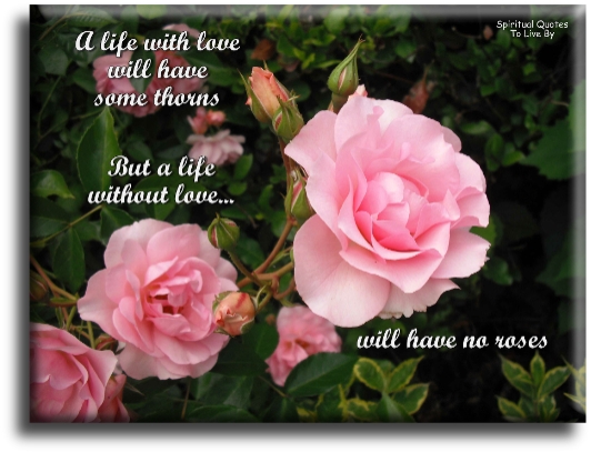 A life with love will have some thorns, but a life without love will have no roses - Spiritual Quotes To Live By