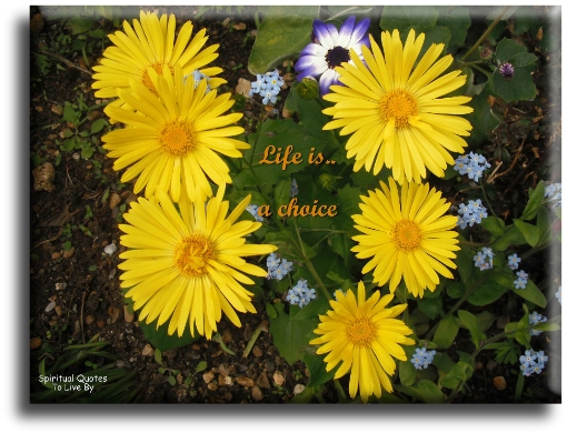 Life is a choice - Spiritual Quotes To Live By
