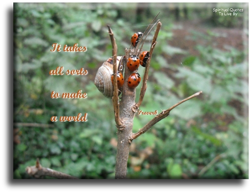 Proverb - It takes all sorts to make a world. - Spiritual Quotes To Live By