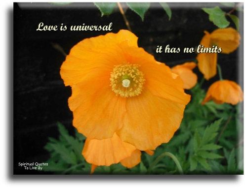 Love is universal, it has no limits - Spiritual Quotes To Live By