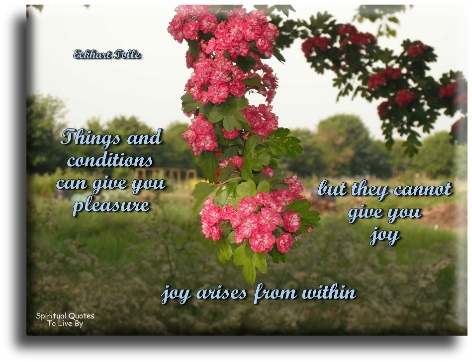 Eckhart Tolle quote - Things and conditions can give you pleasure but they cannot give you joy. Joy arises from within. - Spiritual Quotes To Live By