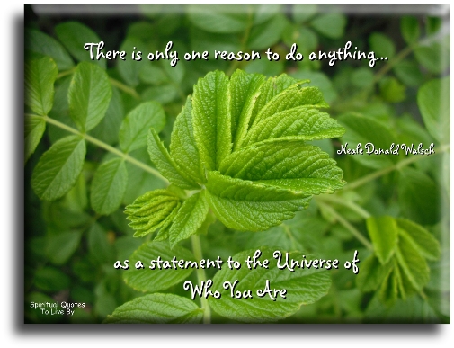 Neale Donald Walsch quote - There is only one reason to do anything: As a statement to the Universe of who you are - Spiritual Quotes To Live By