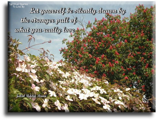 Rumi quote - Let yourself be silently drawn by the stronger pull of what you really love. - Spiritual Quotes To Live By