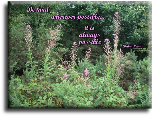 Dalai Lama quote - Be kind wherever possible.. It is always possible. - Spiritual Quotes To Live By
