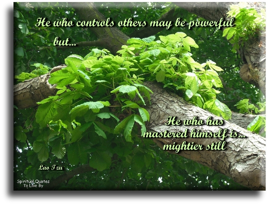 Lao Tzu quote - He who controls others may be powerful.. But he who has mastered himself is mightier still. - Spiritual Quotes To Live By