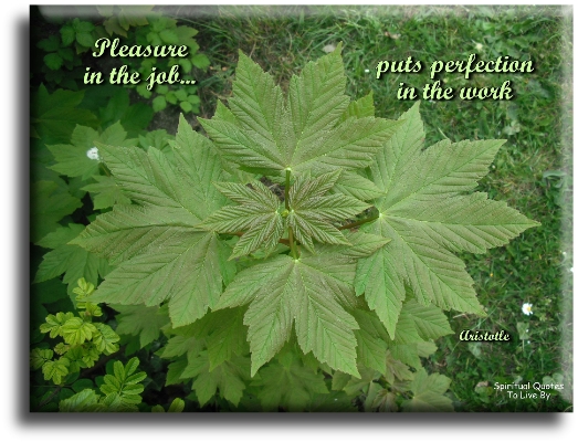 Aristotle quote - Pleasure in the job puts perfection in the work. - Spiritual Quotes To Live By