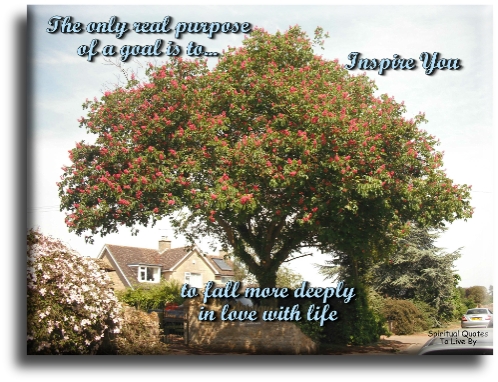 The only real purpose of a goal is.. To inspire you to fall more deeply in love with life. - Spiritual Quotes To Live By