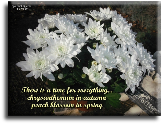 There is a time for everything.. Chrysanthemum in autumn, peach blossom in spring. - Spiritual Quotes To Live By