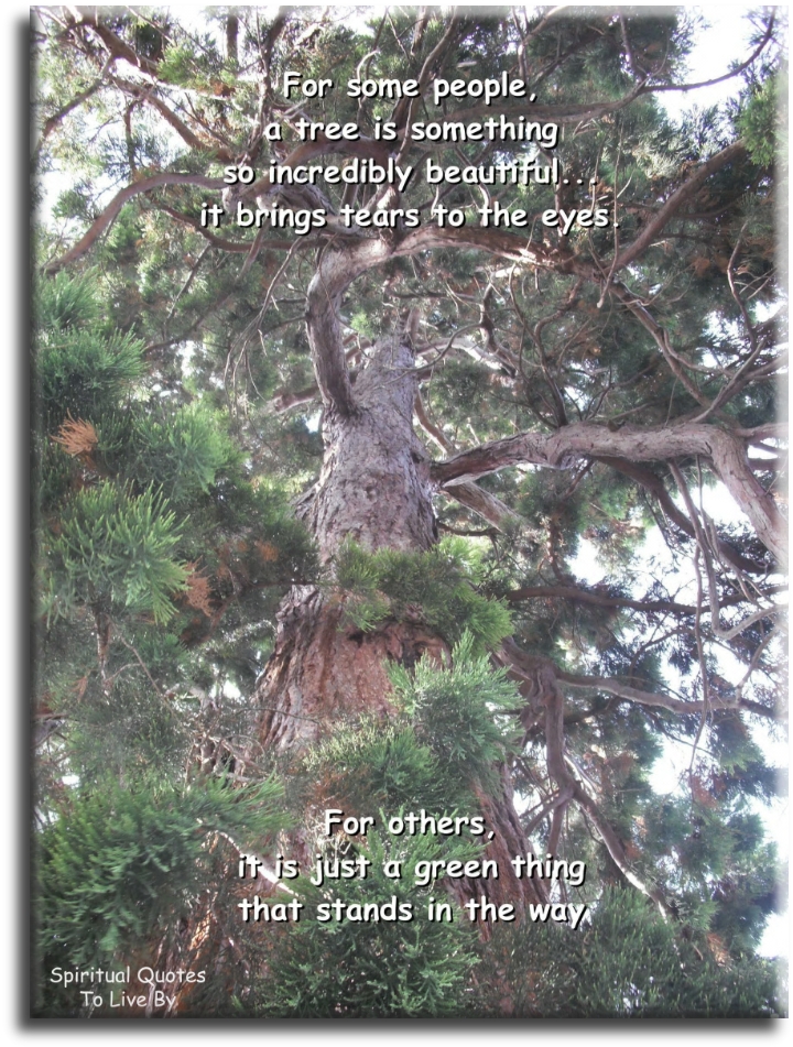For some people, a tree is something so incredibly beautiful it brings tears to the eyes. For others, it is just a green thing that stands in the way. - Spiritual Quotes To Live By