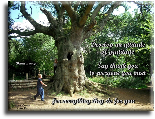 Brian Tracy quote - Develop an attitude of gratitude. Say thank you to everyone you meet, for everything they do for you. - Spiritual Quotes To Live By