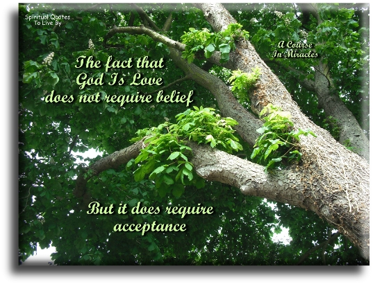 A Course In Miracles quote - The fact that God is Love does not require belief, but it does require acceptance. - Spiritual Quotes To Live By