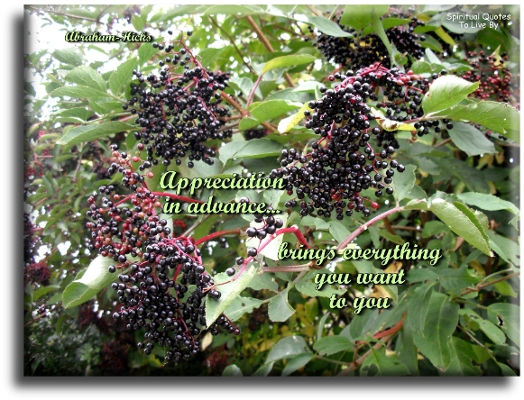 Abraham-Hicks quote - Appreciation in advance brings everything you want to you. - Spiritual Quotes To Live By