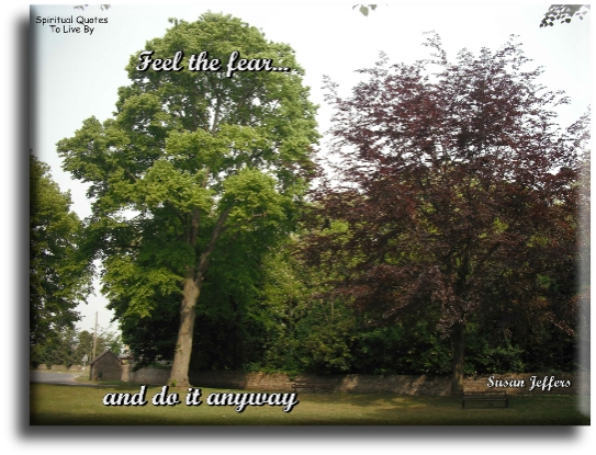 Susan Jeffers quote - Feel the fear and do it anyway. - Spiritual Quotes To Live By