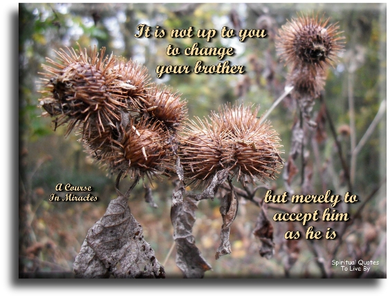 A Course In Miracles quote - It is not up to you to change your brother, but merely to accept him as he is. - Spiritual Quotes To Live By
