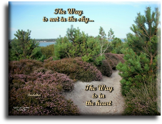 Buddha quote - The way is not in the sky.. The way is in the heart. - Spiritual Quotes To Live By