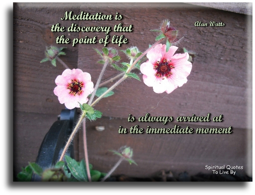 Alan Watts quote - Meditation is the discovery that the point of life is always arrived at in the immediate moment. - Spiritual Quotes To Live By