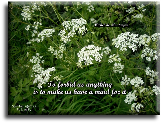 Michel de Montaigne quote - To forbid us anything.. Is to make us have a mind for it. - Spiritual Quotes To Live By