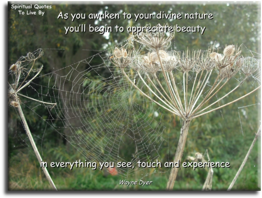 Wayne Dyer quote - As you awaken to your divine nature, you’ll begin to appreciate beauty in everything you see, touch and experience. - Spiritual Quotes To Live By