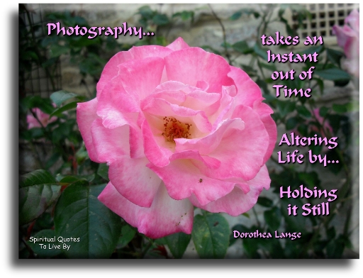 Dorothea Lange quote: Photography takes an instant out of time, altering life by holding it still - Spiritual Quotes To Live By