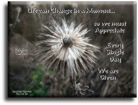 Kristine Carlson quote - Life can change in a moment, so we must appreciate every single day we are given - Spiritual Quotes To Live By