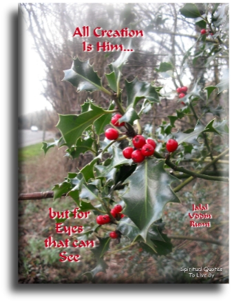 Rumi quote - All creation is Him, but for eyes that can see. - Spiritual Quotes To Live By