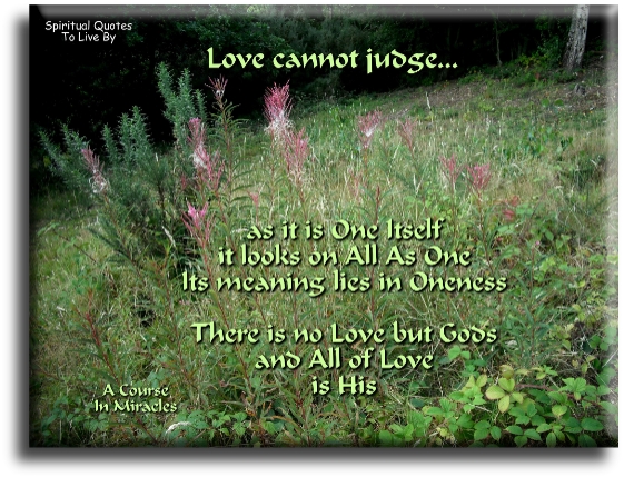 A Course In Miracles quote - Love cannot judge. As it is one itself, it looks on all as one. Its meaning lies in oneness. There is no love but God’s and all of love is His. - Spiritual Quotes To Live By