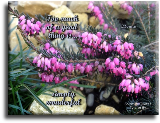 Liberace quote - Too much of a good thing is.. Simply wonderful. - Spiritual Quotes To Live By