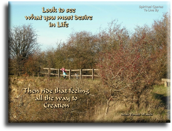 Neale Donald Walsch quote - Look to see what you most desire in your life, then ride that feeling all the way to creation - Spiritual Quotes To Live By