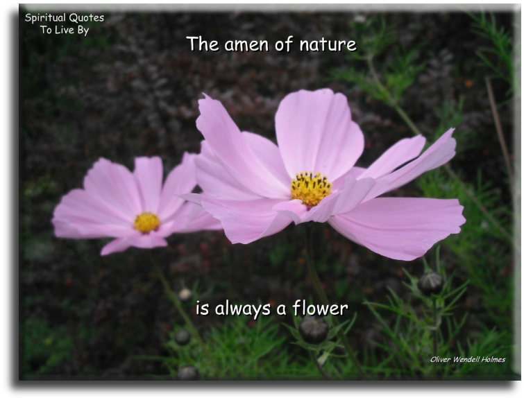 Oliver Wendell Holmes quote - The amen of nature is always a flower. - Spiritual Quotes To Live By